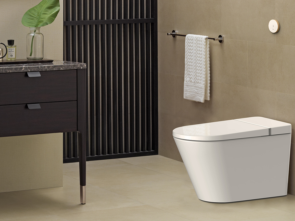 Primus Tankless Toilet